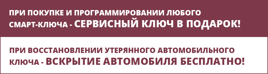 Чипы для автозапуска автомобиля